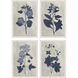 Pressed Flower Blue and White Framed Art