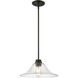 Annora 1 Light 14.00 inch Pendant