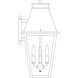 Croydon 3 Light 20.5 inch Pewter Outdoor Wall Mount in Clear Seedy