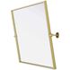 Amoura 32 X 24 inch Brass Mirror
