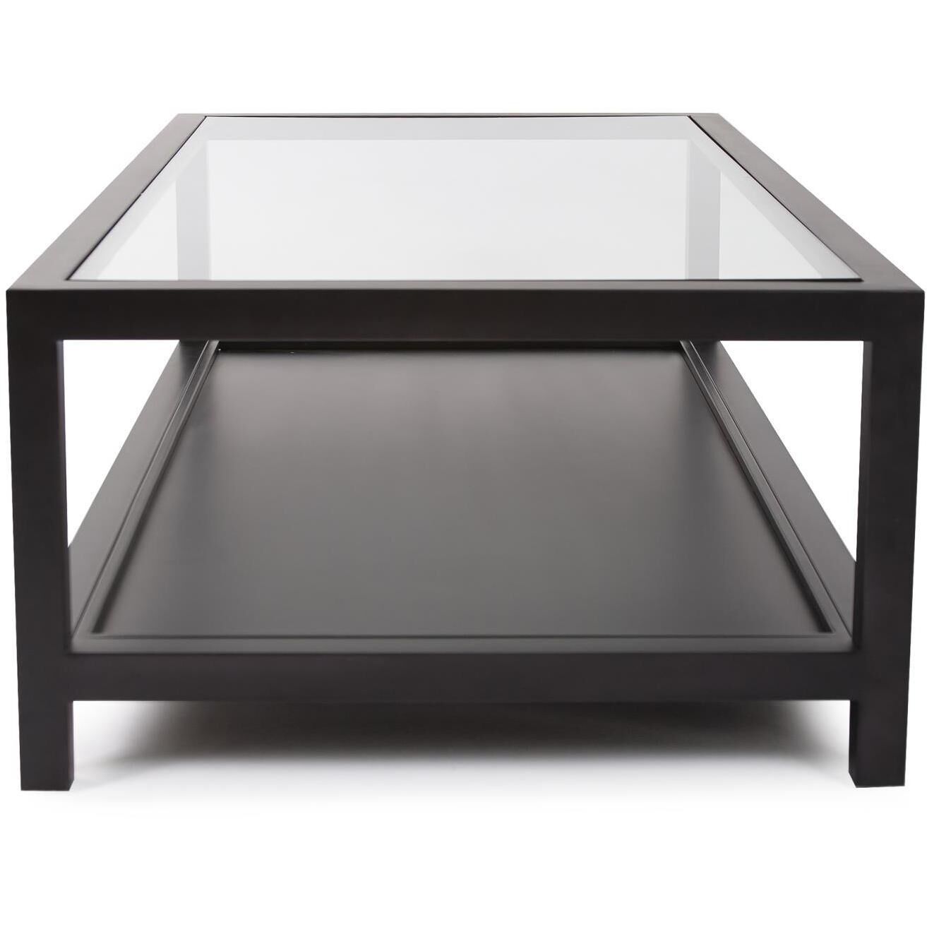 Dumas 55.25 X 16 inch Nickel Coffee Table