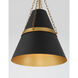 Springfield 1 Light 12 inch Legacy Brass and Dark Matte Black Pendant Ceiling Light