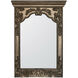 Lavinnia 55 X 39 inch Antique Gold Wall Mirror