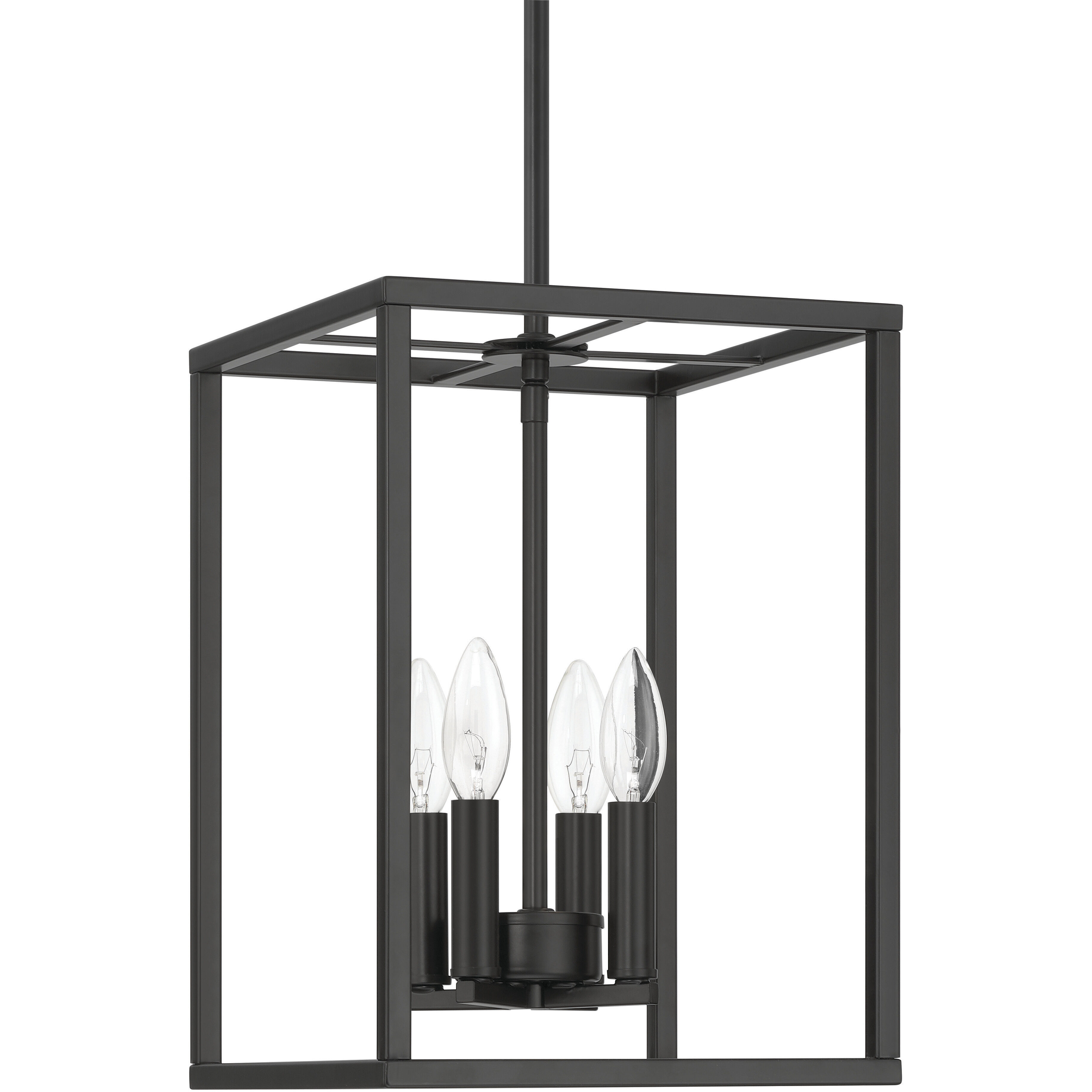 Signature 4 Light 10 inch Flat Black Foyer Light Ceiling Light
