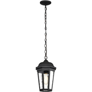 East River 8 inch Matte Black Outdoor Hanging Lantern