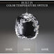 Forever Divine LED 12 inch Polished Chrome Pendant Ceiling Light