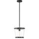 Ventari 1 Light 10.25 inch Matte Black Pendant Ceiling Light