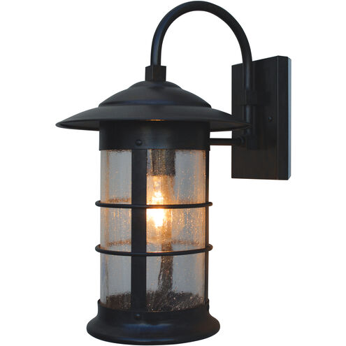 Newport 1 Light 15.75 inch Rustic Brown Outdoor Wall Mount in Gold White Iridescent
