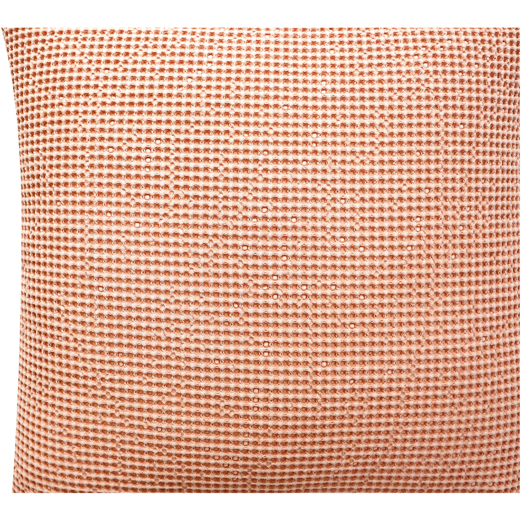 Ria 22 X 22 inch Desert Pink Pillow