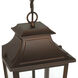 Spring Cove 3 Light 8 inch Matte Bronze Outdoor Pendant, Large
