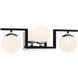 Alluria II 3 Light 22.5 inch Coal With Polished Nichel High Bath Light Wall Light