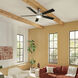Lucian 60 inch Polished Nickel with Black/Silver Blades Ceiling Fan