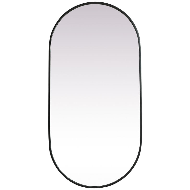 Asha 48 X 24 inch Black Mirror in 24 x 48