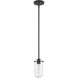 Delaney 1 Light 4 inch Matte Black Pendant Ceiling Light