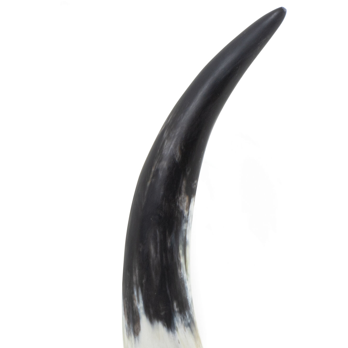 Daylon Natural Objet, Small