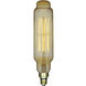 Lumos Incandescent T24 Medium E26 60 watt 120V 2200K Light Bulb
