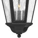 Estate Series Edgewater 3 Light 10 inch Black Outdoor Hanging Lantern in Non-LED