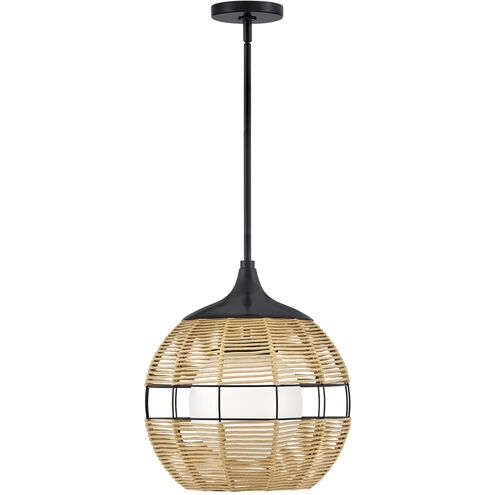 Maddox 1 Light 14.00 inch Outdoor Pendant/Chandelier