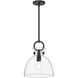 Alora Mood Waldo 1 Light 10.5 inch Matte Black Pendant Ceiling Light in Clear