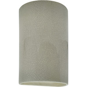 Ambiance 2 Light 7.75 inch Celadon Green Crackle Wall Sconce Wall Light, Large