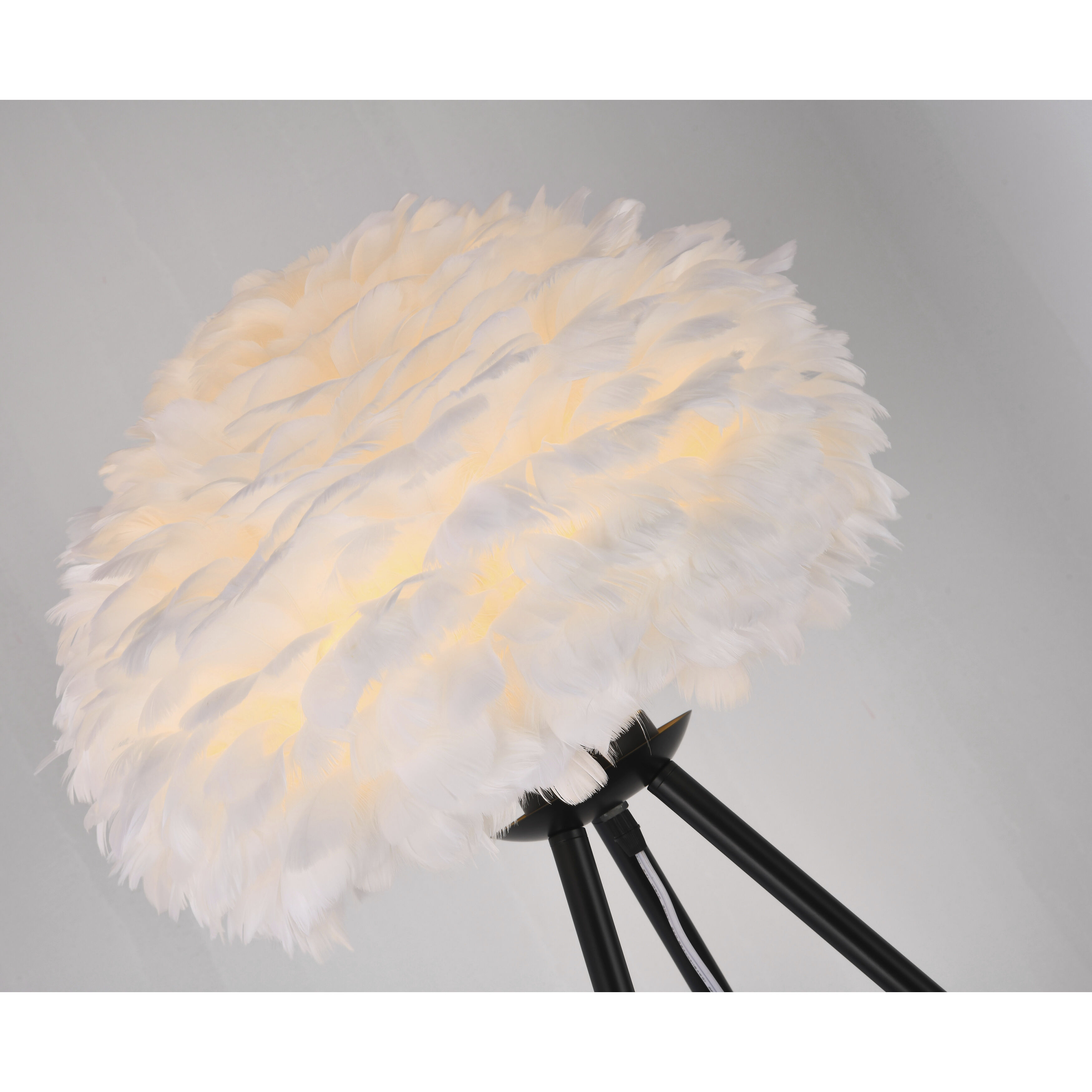 Canada 55 inch 60.00 watt Black Floor Lamp Portable Light