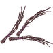 Banana Stem Purple Object