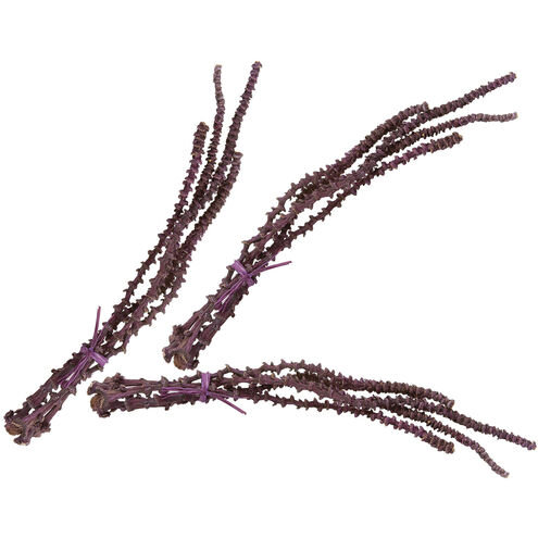Banana Stem Purple Object