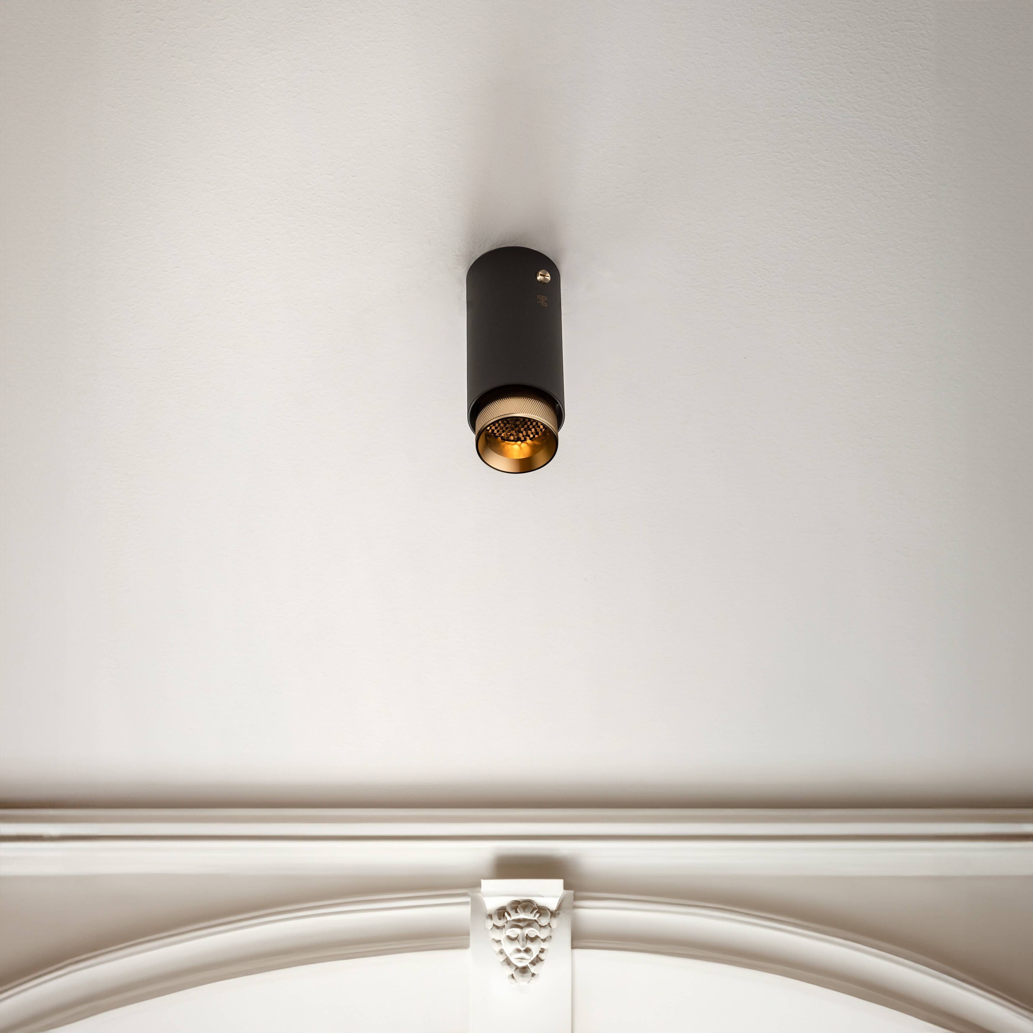 Exhaust Surface 1 Light 110-120 Graphite / Brass Spotlight Ceiling Light