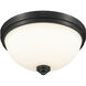 Ashton 2 Light 13 inch Matte Black Flush Mount Ceiling Light in 4