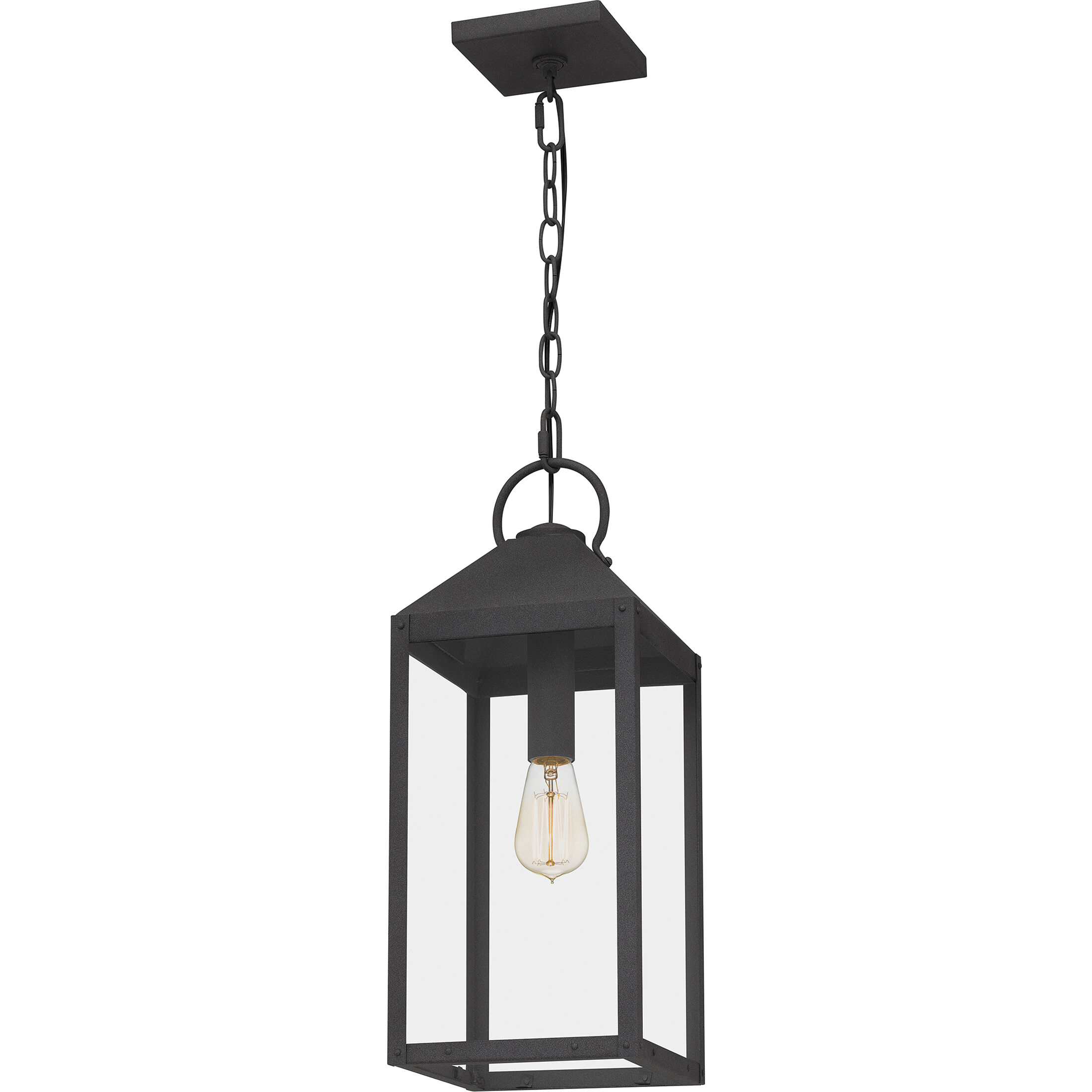 Thorpe 1 Light 8 inch Mottled Black Outdoor Hanging Lantern, Large