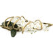 Curling Decorative Orchid