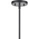 Saginaw 10 Light 34 inch Matte Black Chandelier Ceiling Light