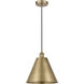 Edison Cone 1 Light 12 inch Antique Brass Mini Pendant Ceiling Light