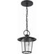 Andover 1 Light 9 inch Matte Black Outdoor Pendant in Clear