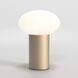 Zeppo 8.27 inch Light Bronze Interior Portable Light
