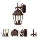 Wexford 3 Light 18 inch Burled Walnut Exterior Wall Mount