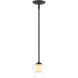 Simple 1 Light 5 inch Black Mini Pendant Ceiling Light