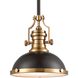 Chadwick 1 Light 13 inch Satin Brass with Matte Black Pendant Ceiling Light