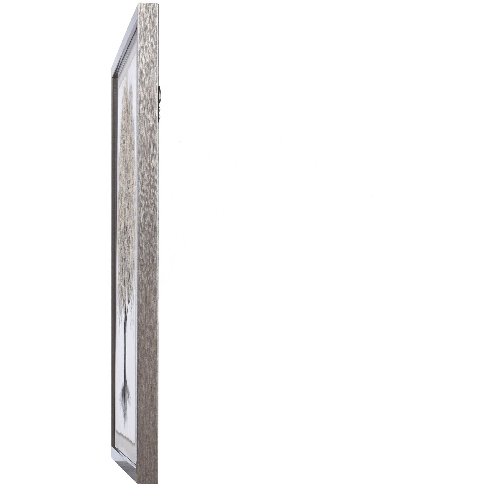 Foliage Shadow Box Black Wall Art