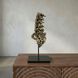 Vertebrae Brass Decor Accessory
