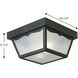 Ceiling Mount 2 Light 10.25 inch Textured Black Outdoor Flush Mount