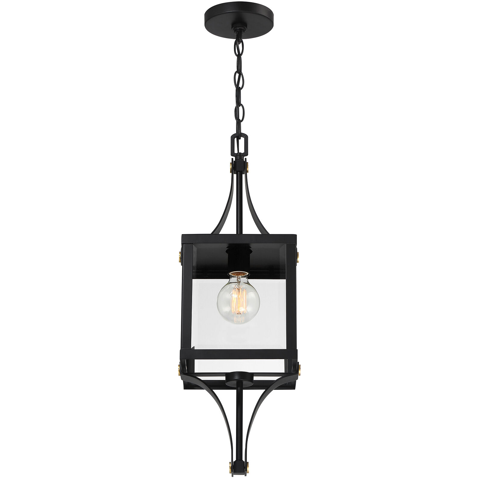 Raeburn 1 Light 8.5 inch Matte Black with Burnished Brass Accents Outdoor Hanging Lantern