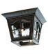 Briarwood 3 Light 10.75 inch Outdoor Ceiling Light