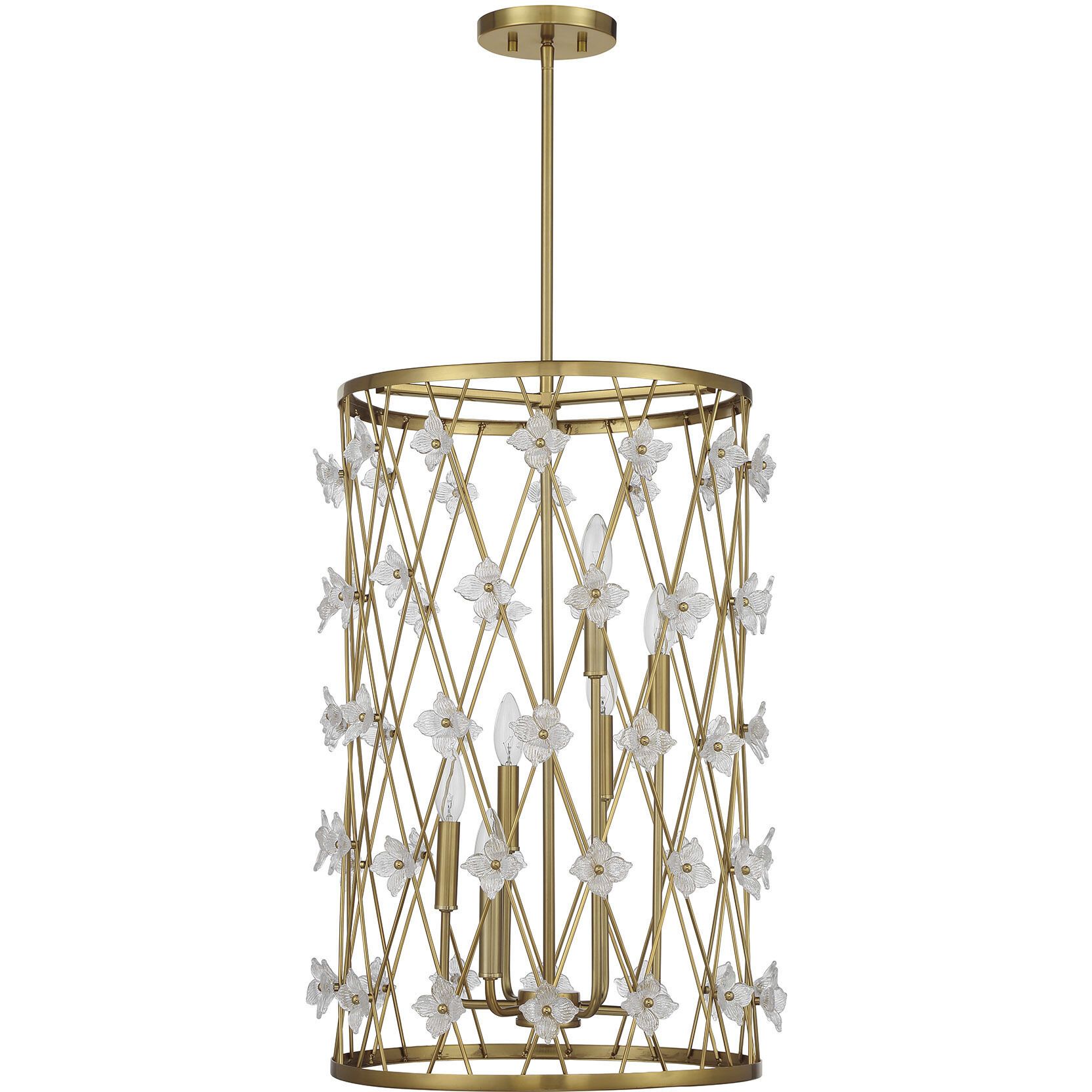 Bailey 6 Light 18 inch Warm Brass Pendant Ceiling Light