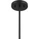 Transitional 2 Light 10 inch Matte Black Chandelier Ceiling Light