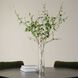 Nigra Green Birch in Vase Centerpiece
