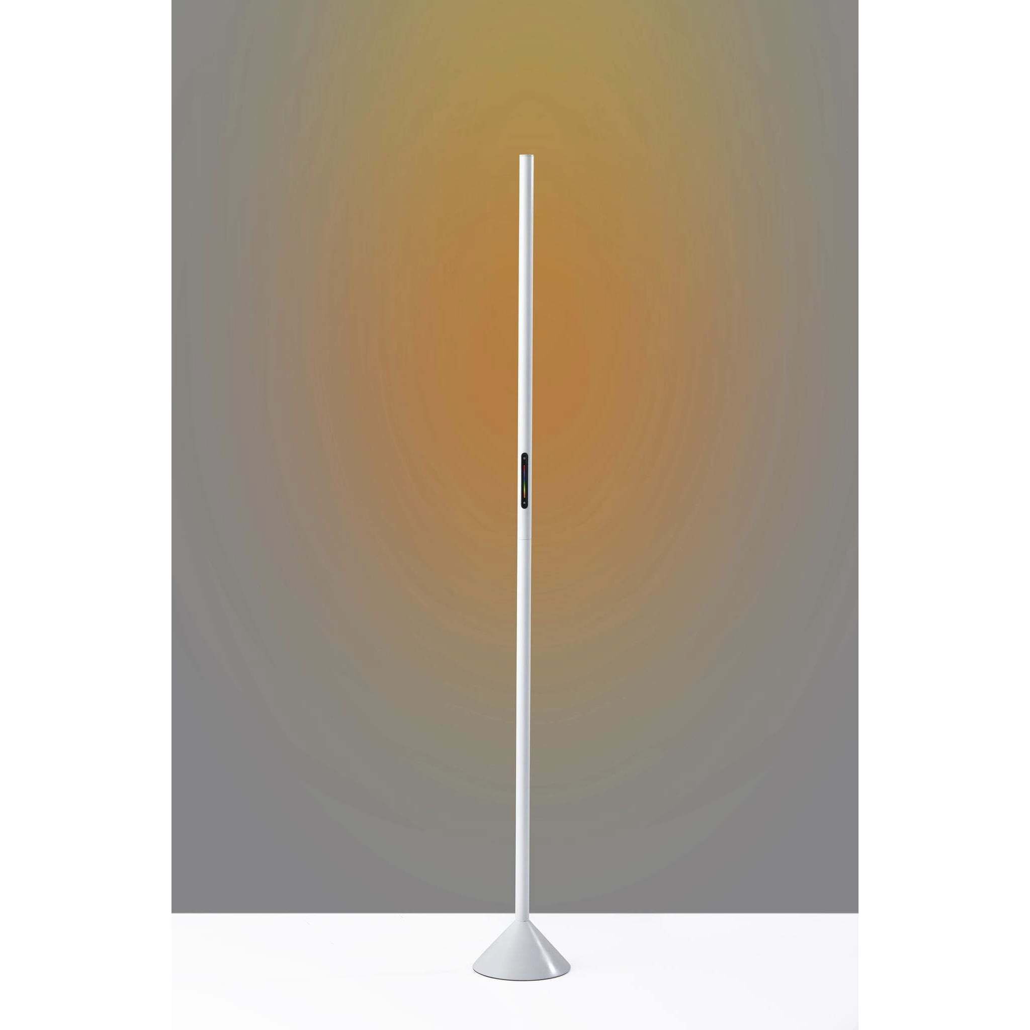 Cole 58 inch 12 watt Matte White Color Changing Wall Washer Floor Lamp Portable Light, Simplee Adesso