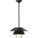 Alora Mood Tetsu 1 Light 13.50 inch Pendant