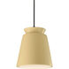 Radiance Collection 1 Light 7.75 inch Muted Yellow and Matte Black Pendant Ceiling Light, Form+Finish+Function