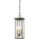 Casway 4 Light 7 inch Oil Rubbed Bronze/Gold Outdoor Chain Hung Lantern, Great Outdoors